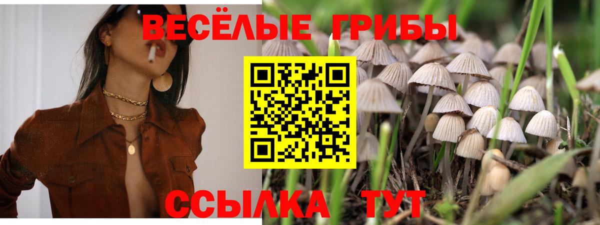 Галлюциногенные грибы ЛСД  Вход с VPN  Галлюциногенные грибы GOLDEN TEACHER  Гусиноозёрск 